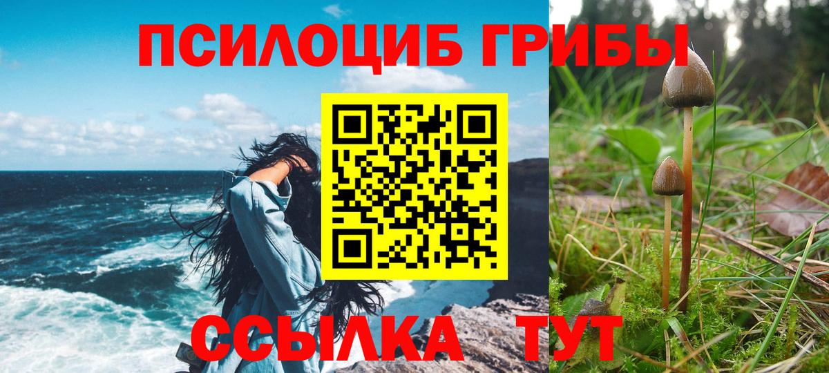 цены наркотик  Псилоцибиновые грибы мухоморы  Вход с VPN  Абакан 